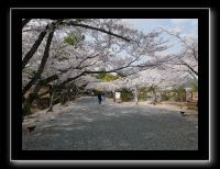 001 Kyoto Arashiyama Daikaku-ji l'entrée du parc